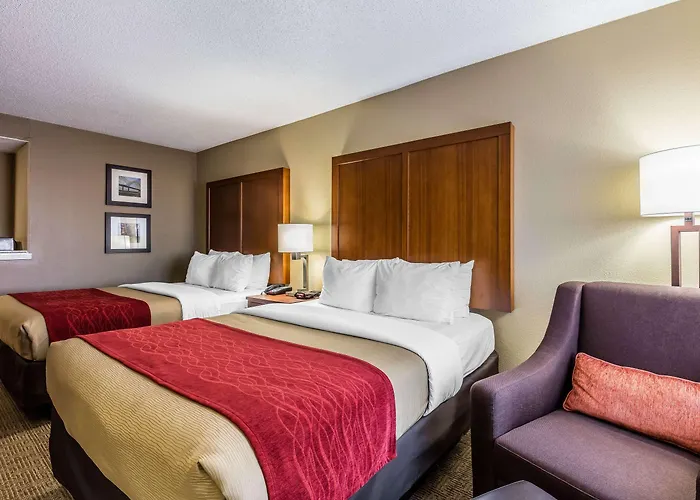 Comfort Inn & Suites Airport-American Way