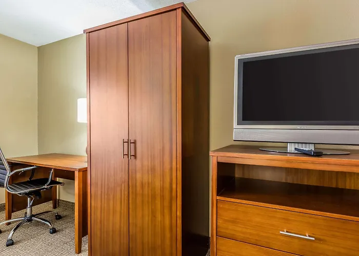 Comfort Inn & Suites Airport-American Way